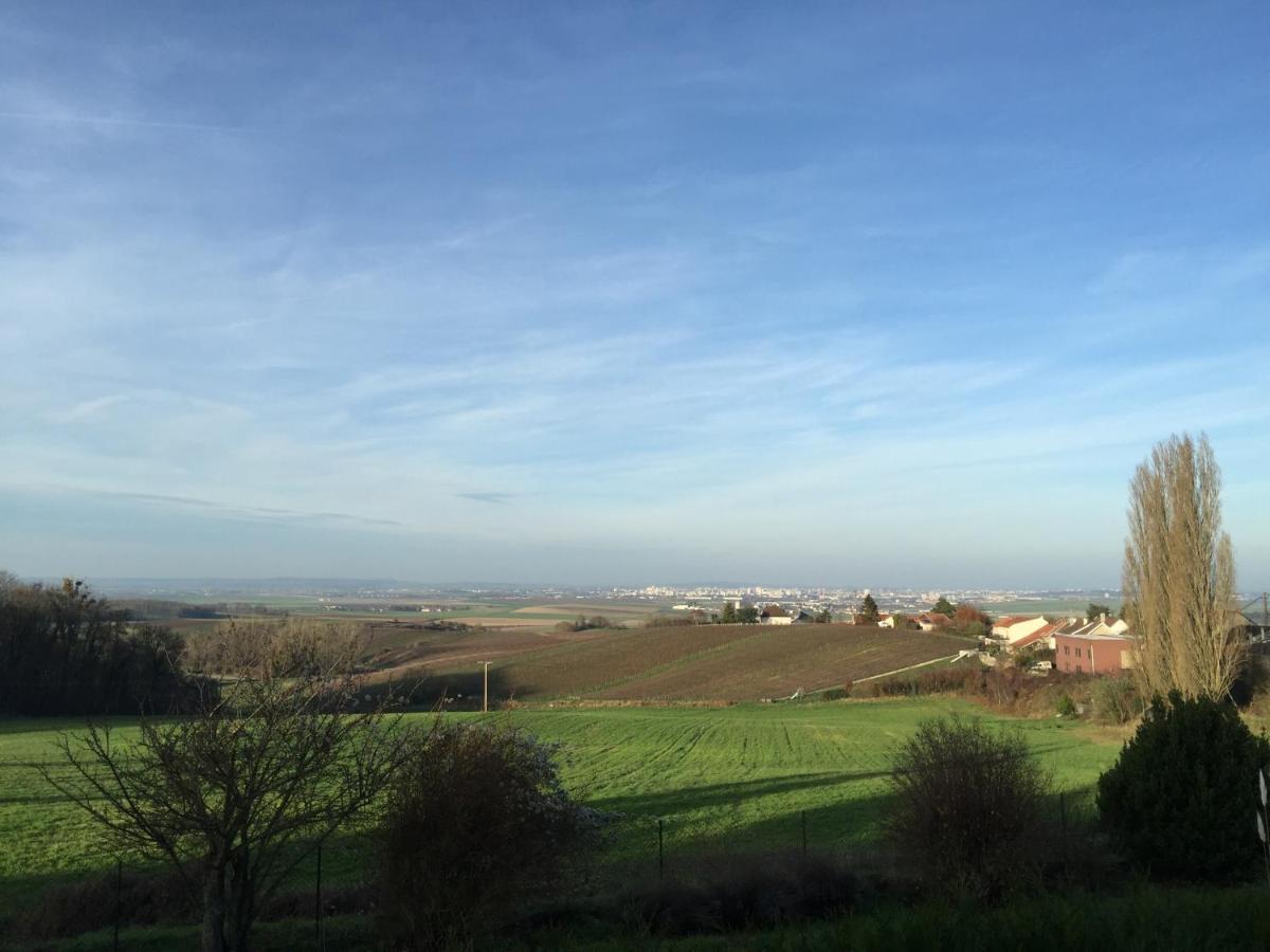 Villa Reims Epernay Champagne Vineyard Villers-Allerand المظهر الخارجي الصورة