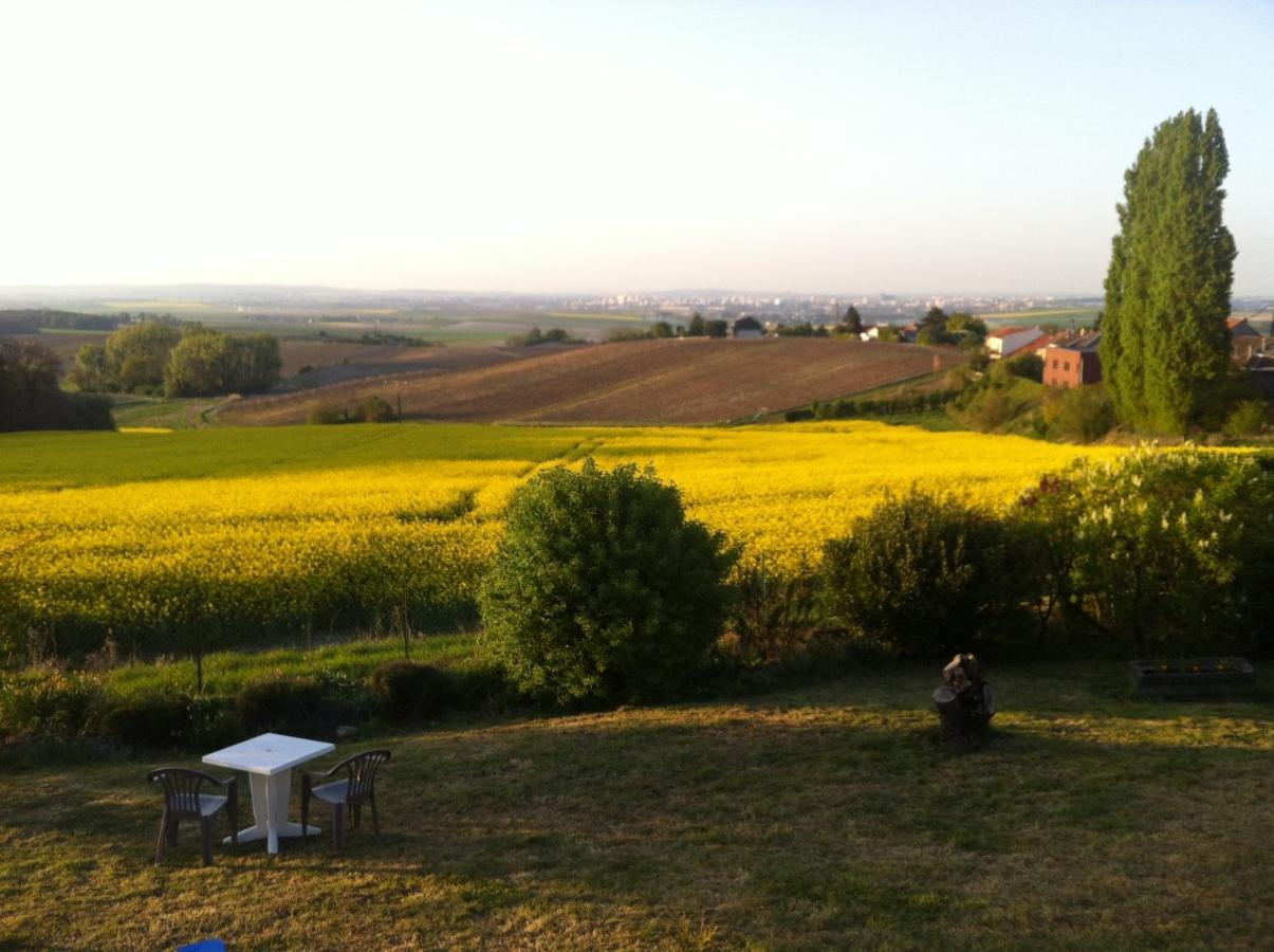 Villa Reims Epernay Champagne Vineyard Villers-Allerand المظهر الخارجي الصورة