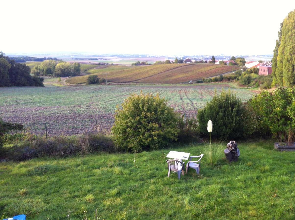 Villa Reims Epernay Champagne Vineyard Villers-Allerand المظهر الخارجي الصورة